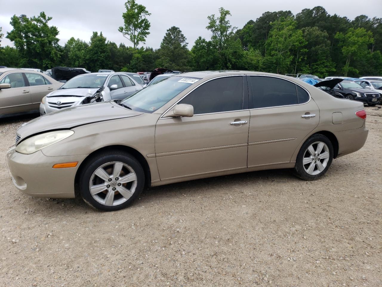 JTHBA30GX65161616 2006 Lexus Es 330