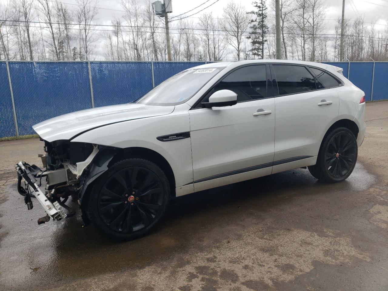 2019 Jaguar F-Pace R - Sport vin: SADCL2FX7KA364583