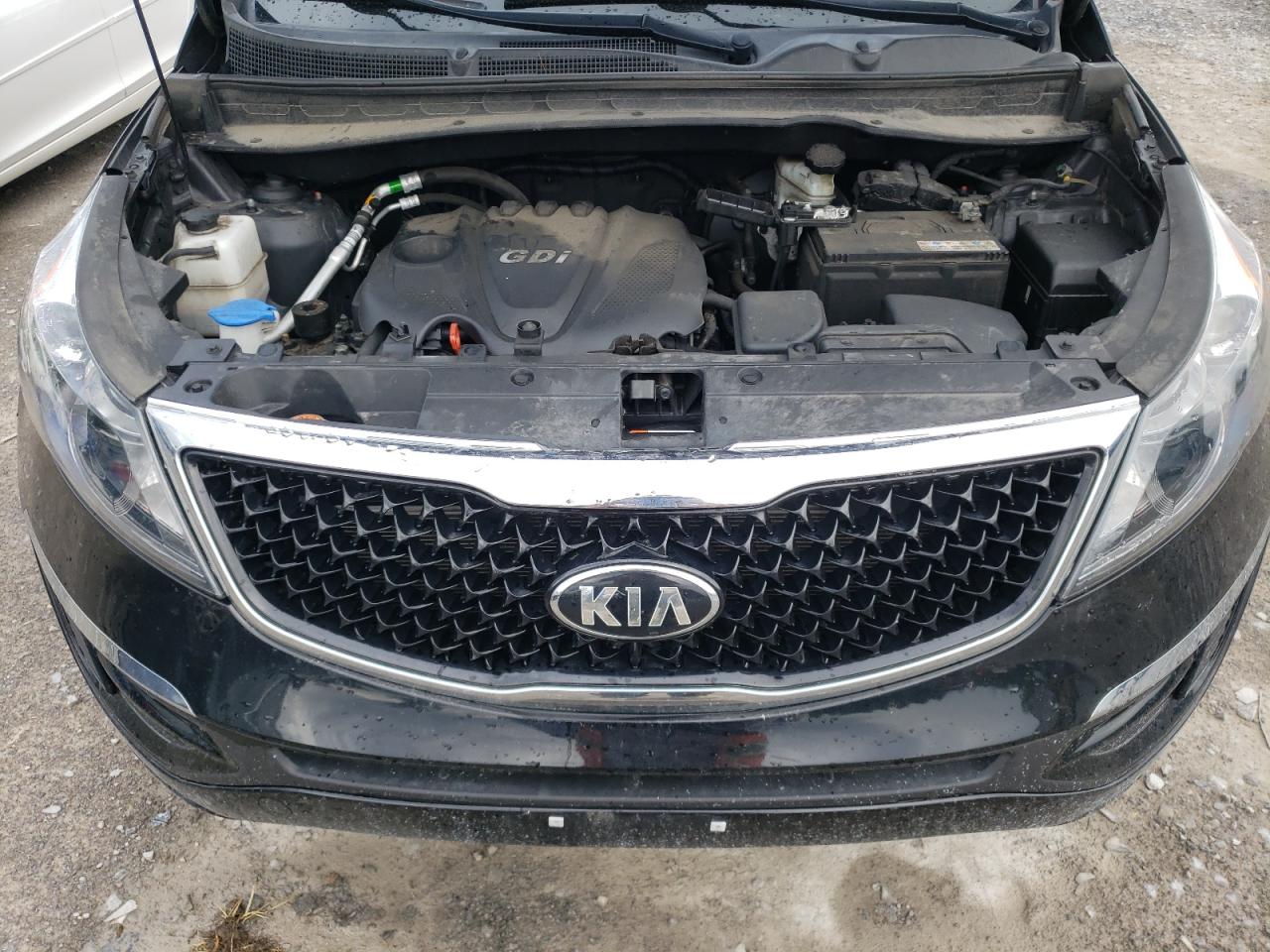 KNDPBCAC9G7877459 2016 Kia Sportage Lx