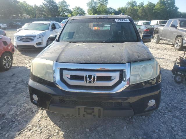 2010 Honda Pilot Exl VIN: 5FNYF4H58AB013915 Lot: 56502914