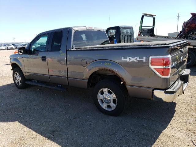 2010 Ford F150 Super Cab VIN: 1FTEX1E86AKE07882 Lot: 55386814