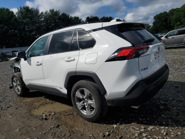 2T3RWRFVXRW206402 2024 TOYOTA RAV 4 - Image 2