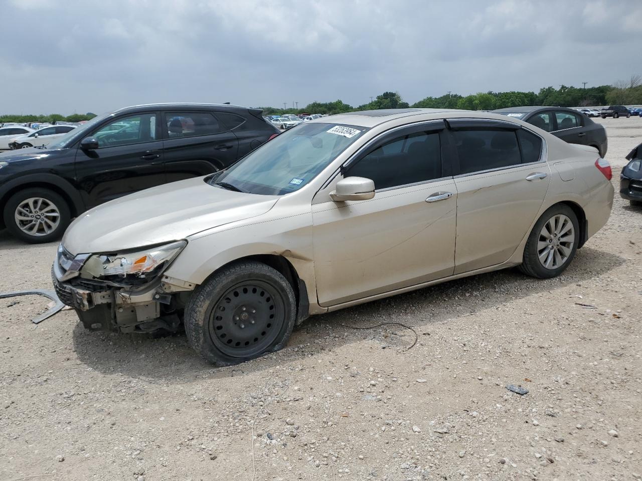 Lot #3034545761 2014 HONDA ACCORD EXL