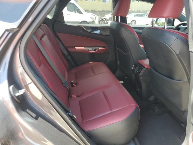 2023 LEXUS NX 250 2T2ADCAZXPC005645