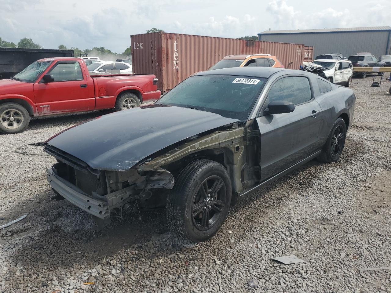 2014 Ford Mustang vin: 1ZVBP8AM0E5280319