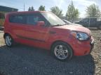 KIA SOUL + photo