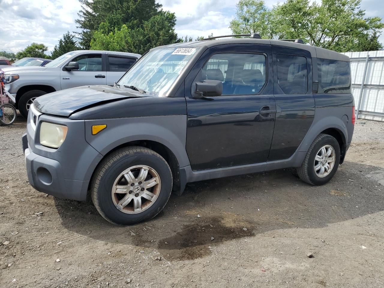 5J6YH28593L037858 2003 Honda Element Ex