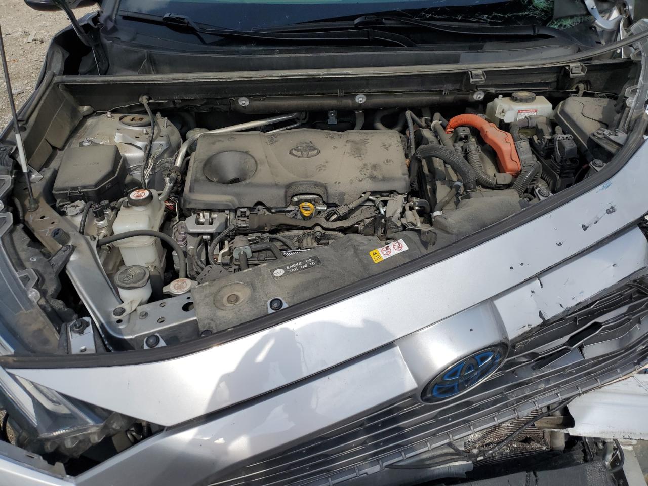 JTMEWRFV1LJ041554 2020 Toyota Rav4 Xse