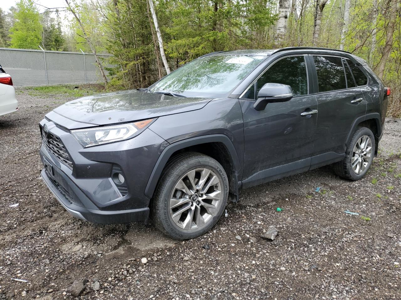 2T3D1RFV8KW037432 2019 Toyota Rav4 Limited