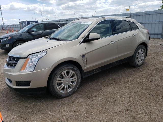 2012 Cadillac Srx Luxury Collection VIN: 3GYFNAE32CS501919 Lot: 54138524