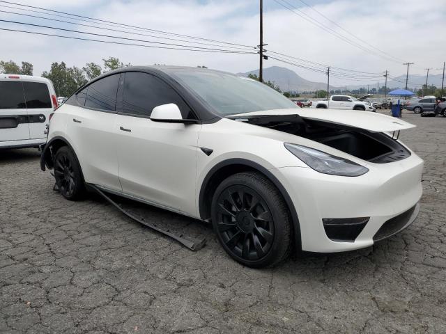 2023 Tesla Model Y VIN: 7SAYGDEE7PA178798 Lot: 55183514