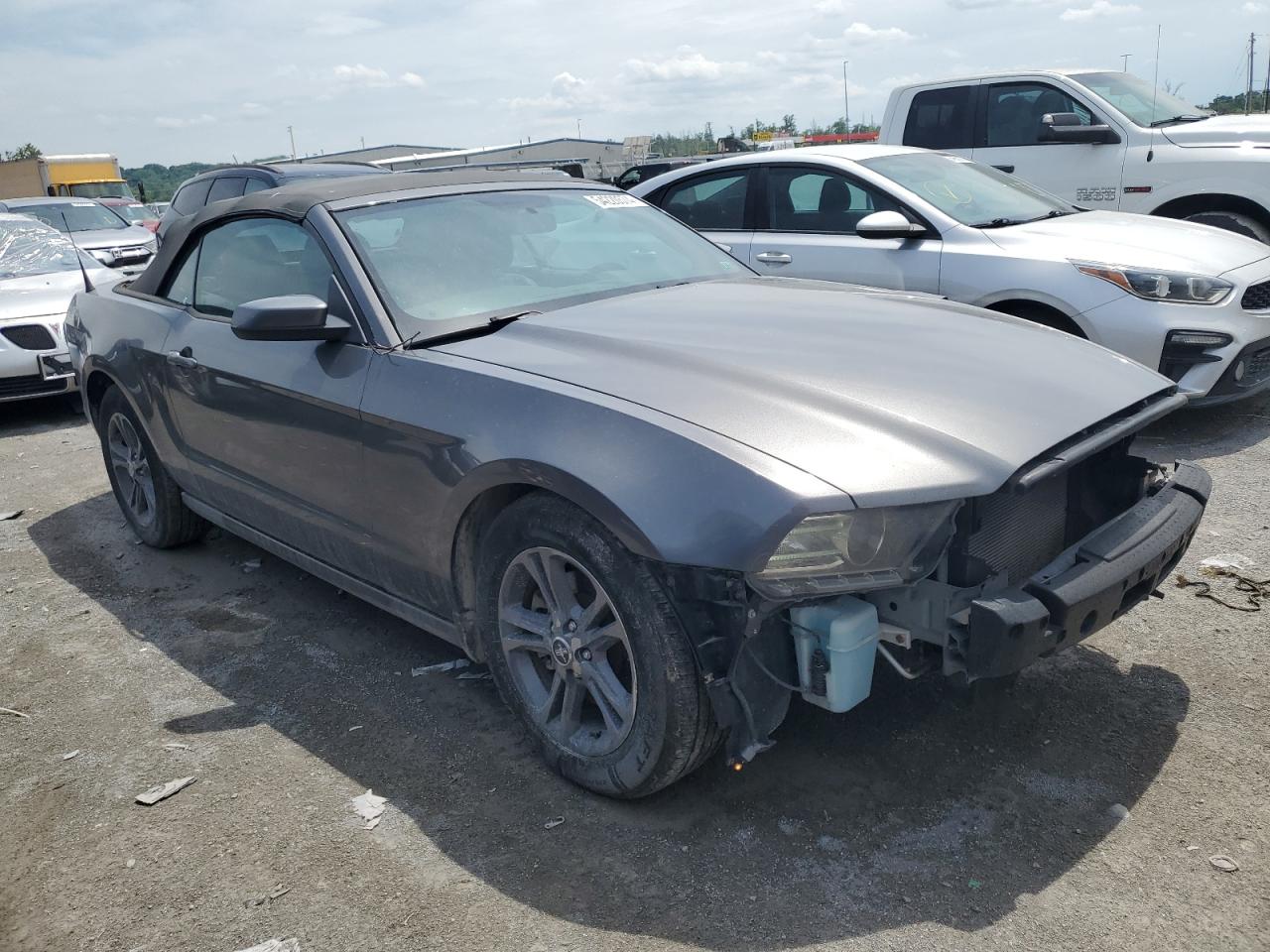 1ZVBP8EM8E5328479 2014 Ford Mustang