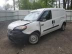 RAM PROMASTER photo