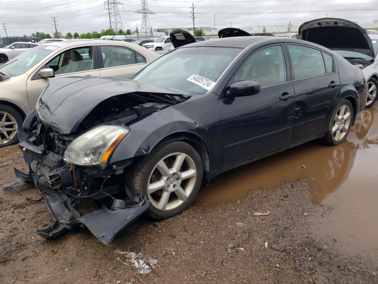 1N4BA41E65C828668 2005 Nissan Maxima Se