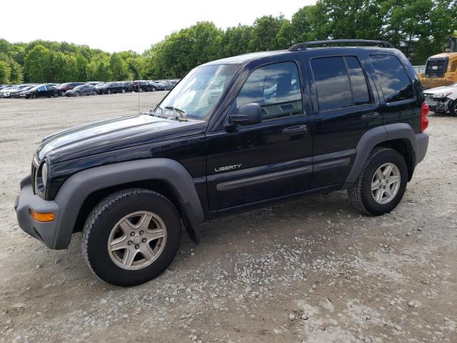 2004 Jeep Liberty Sport VIN: 1J4GL48K94W273020 Lot: 56766754