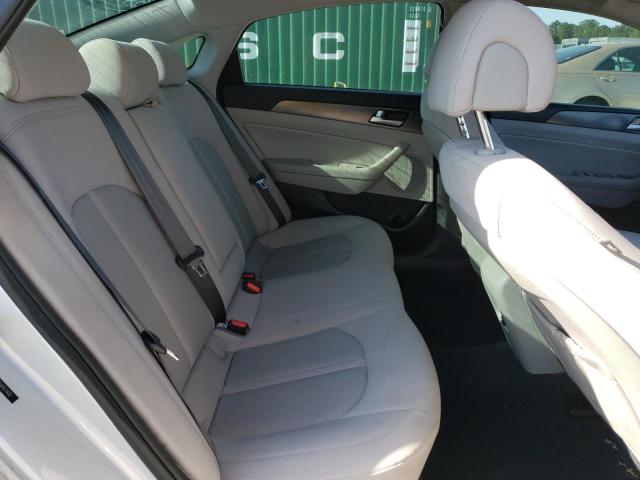 2017 HYUNDAI SONATA SPO - 5NPE34AF6HH517812