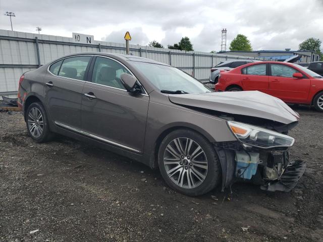 2014 Kia Cadenza Premium VIN: KNALN4D74E5130125 Lot: 55047764