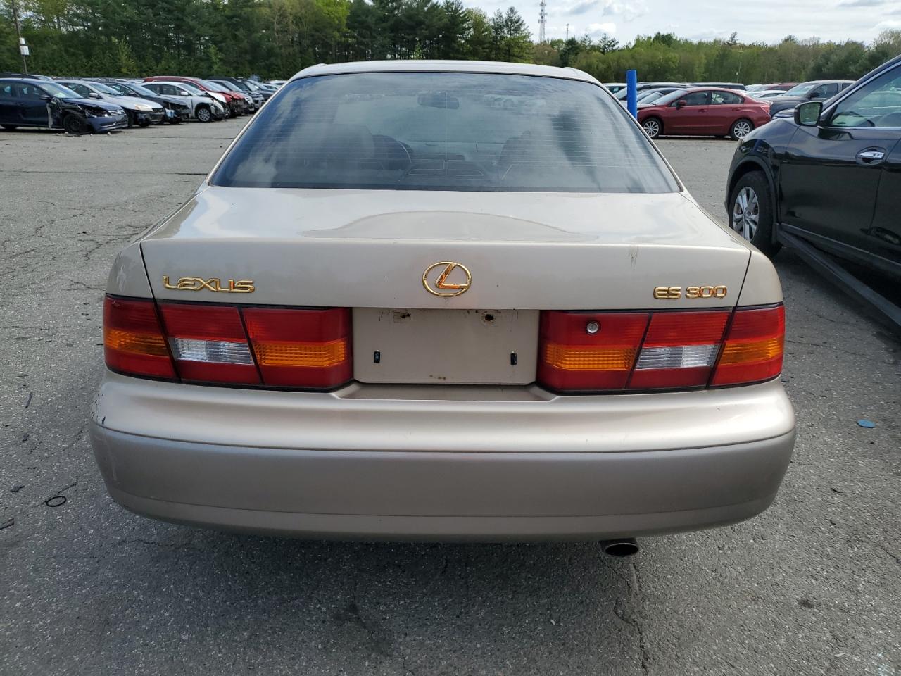 JT8BF28G5X0158024 1999 Lexus Es 300