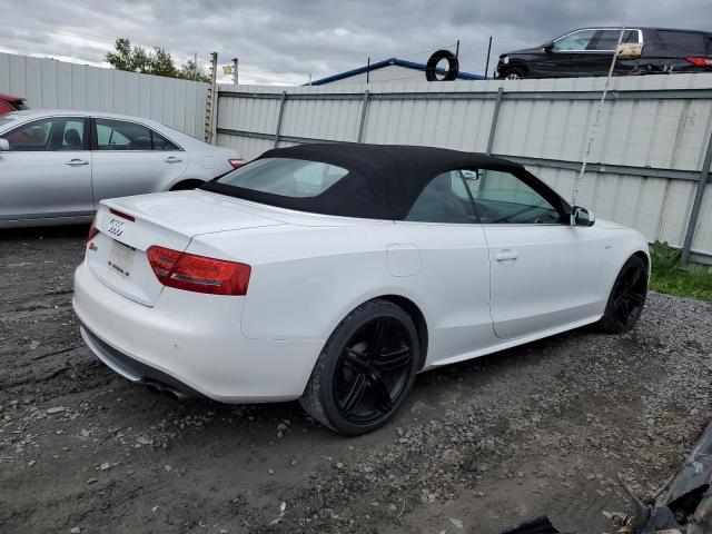 2010 Audi S5 Premium Plus VIN: WAUCGAFH9AN024780 Lot: 54188934