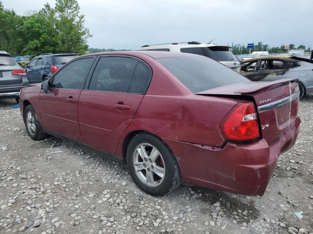 2004 Chevrolet Malibu Ls VIN: 1G1ZT54854F173424 Lot: 54573874