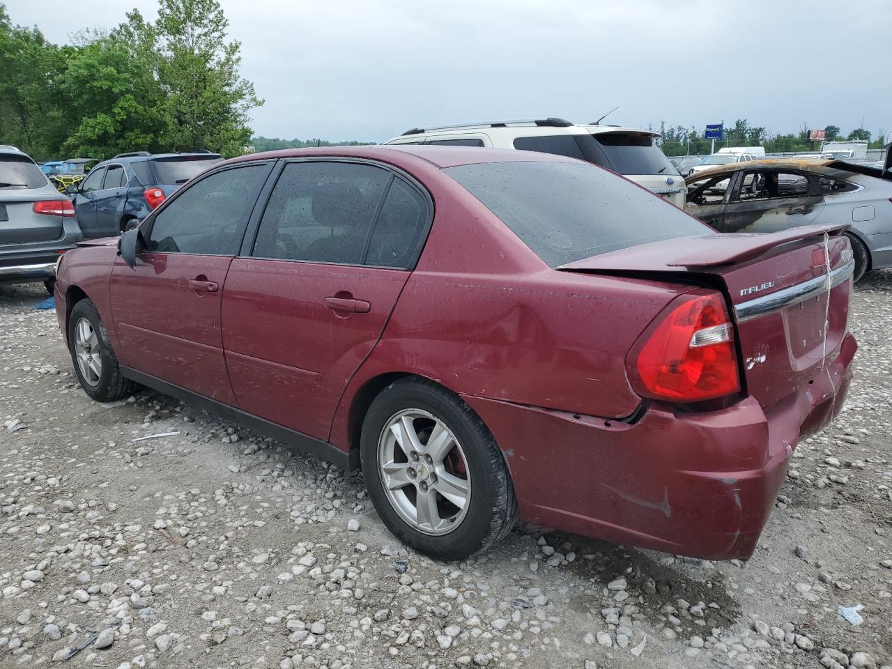 1G1ZT54854F173424 2004 Chevrolet Malibu Ls