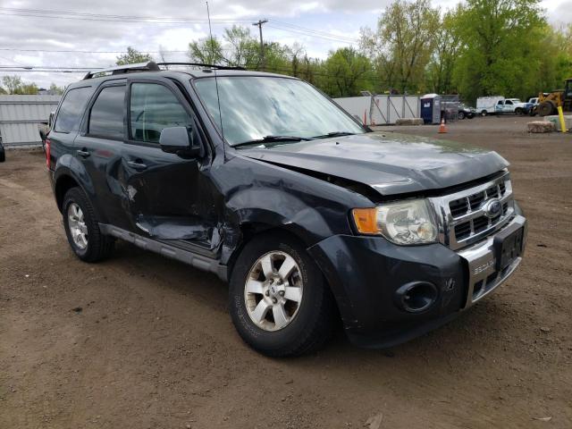 2009 Ford Escape Hybrid VIN: 1FMCU59369KB69495 Lot: 53489854