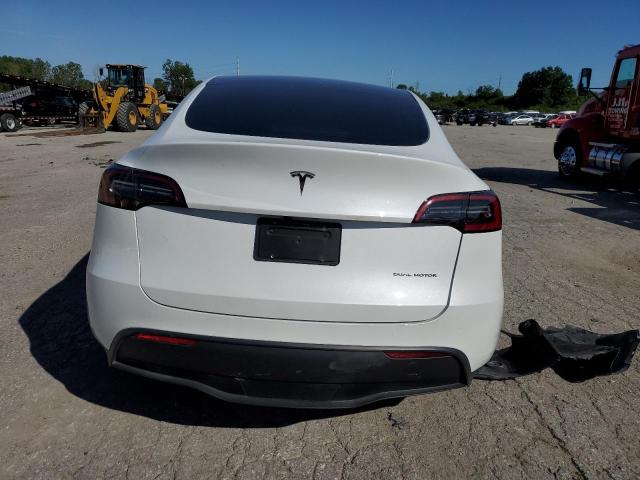 2023 Tesla Model Y VIN: 7SAYGDEE2PF807368 Lot: 56505594