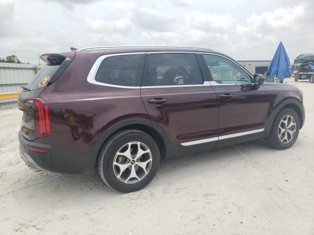 2022 Kia Telluride Ex VIN: 5XYP3DHC9NG310998 Lot: 55559874