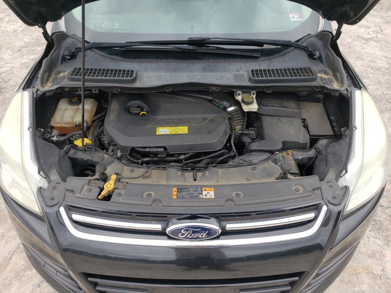 2013 Ford Escape Sel vin: 1FMCU0HX6DUC32891