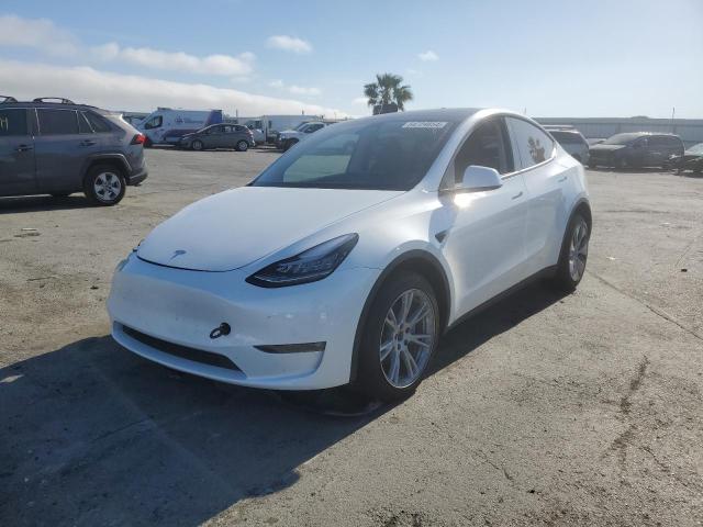 2023 Tesla Model Y VIN: 7SAYGDEE2PF613889 Lot: 54724854