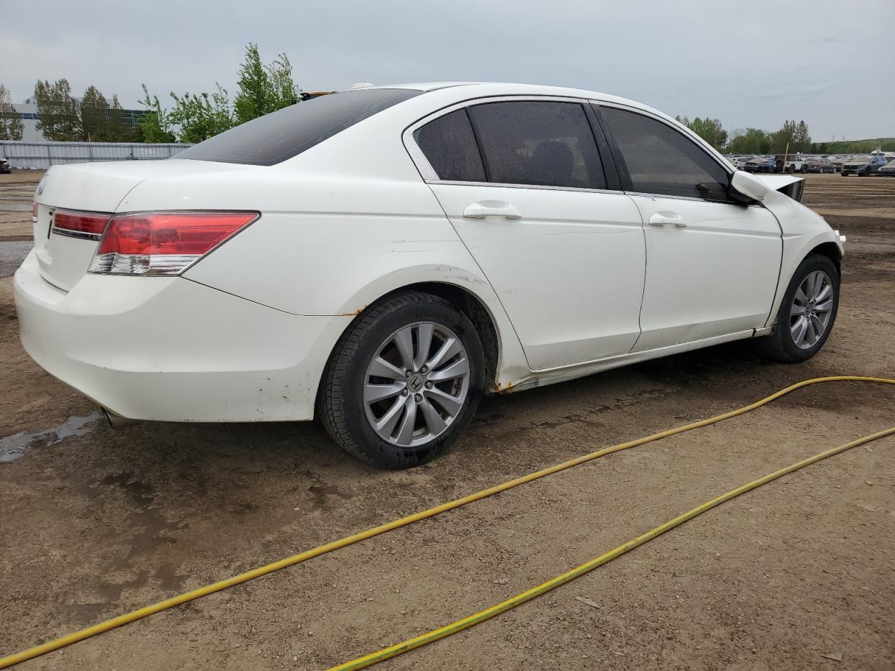 1HGCP2F84BA800431 2011 Honda Accord Exl