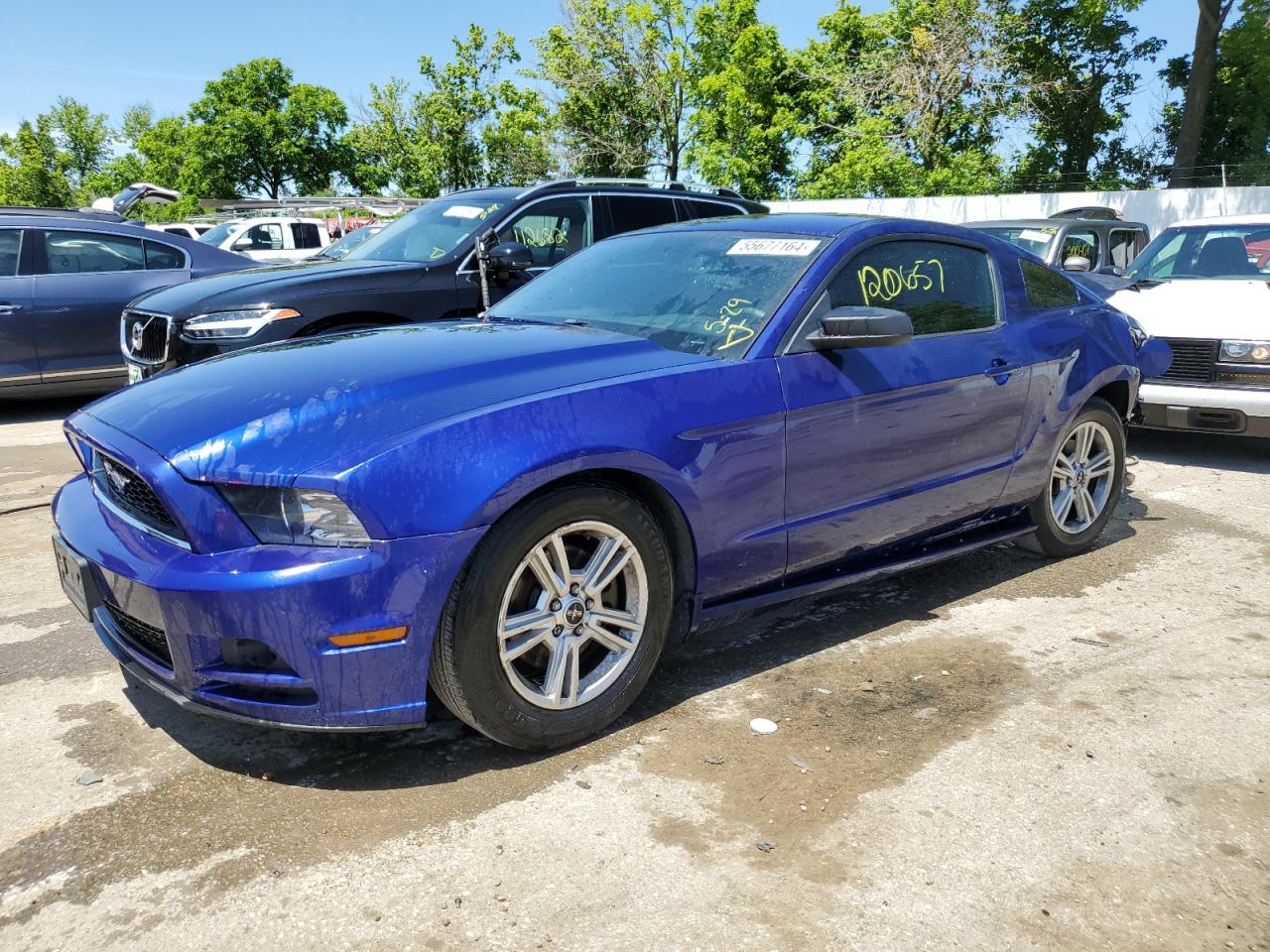 2014 Ford Mustang vin: 1ZVBP8AM6E5216902