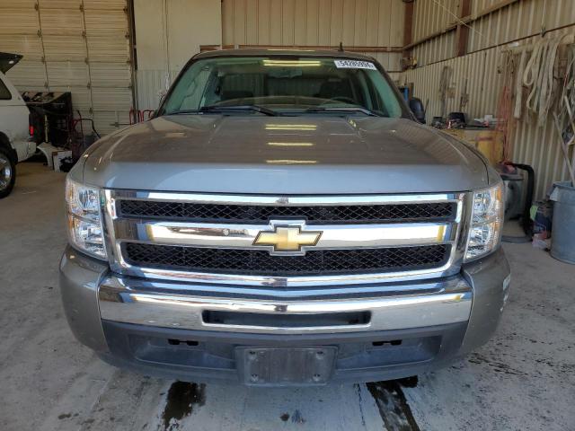 2009 Chevrolet Silverado C1500 VIN: 1GCEC19C19Z114825 Lot: 54285994