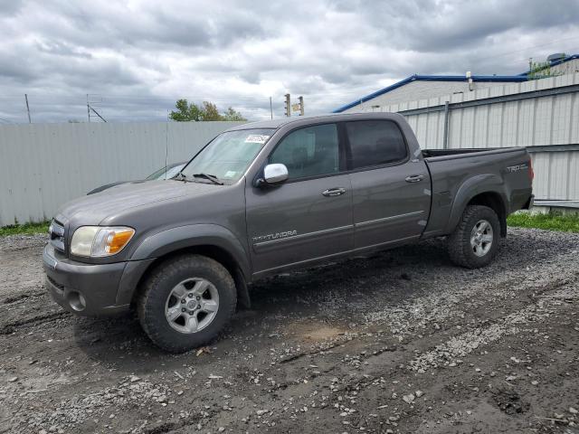 2006 Toyota Tundra Double Cab Sr5 VIN: 5TBDT44146S525547 Lot: 53373154