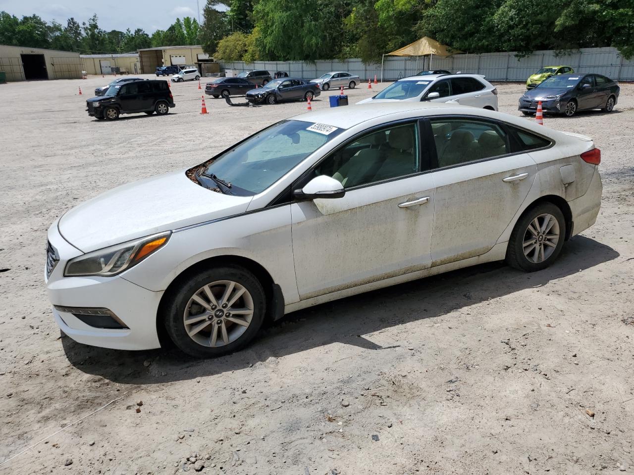 5NPE24AA7GH425663 2016 Hyundai Sonata Eco