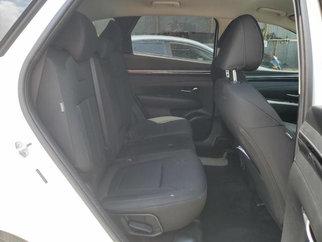 2024 Hyundai Tucson Sel VIN: 5NMJB3DE9RH384377 Lot: 54003344