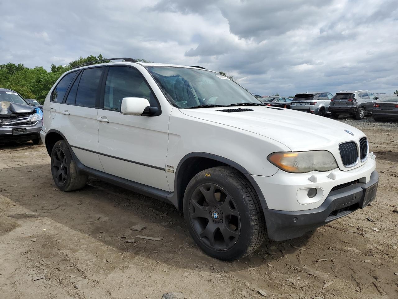 5UXFA13576LY44501 2006 BMW X5 3.0I