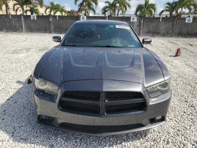 2014 Dodge Charger R/T VIN: 2C3CDXCT5EH359027 Lot: 53888694