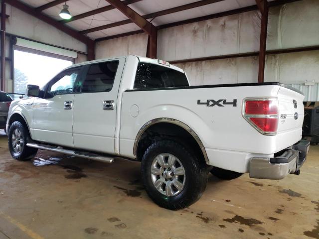 2013 Ford F150 Supercrew VIN: 1FTFW1EF2DFC67039 Lot: 54892914