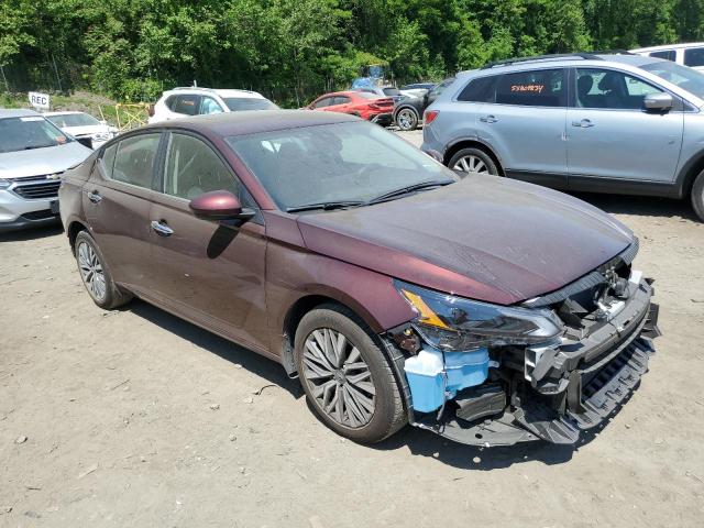 2023 Nissan Altima Sv VIN: 1N4BL4DV4PN381254 Lot: 55605254