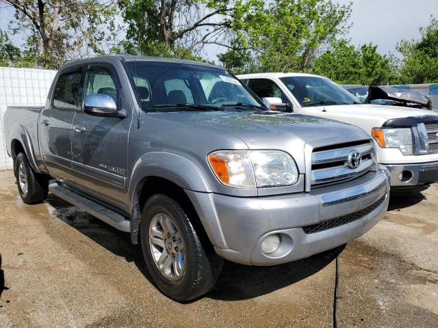 2006 Toyota Tundra Double Cab Sr5 VIN: 5TBDT44166S546755 Lot: 53005344