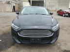 FORD FUSION SE photo