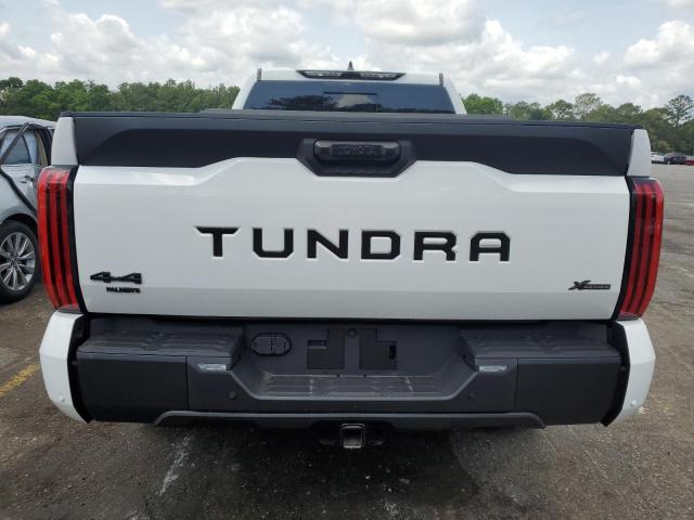 2024 Toyota Tundra Double Cab Sr VIN: 5TFLA5DA8RX160979 Lot: 54034274