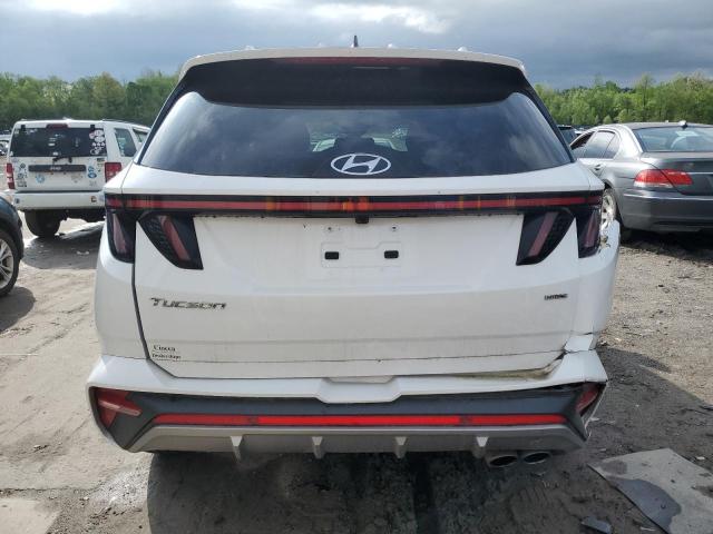 2023 Hyundai Tucson N Line VIN: KM8JFCAE9PU176011 Lot: 53002334