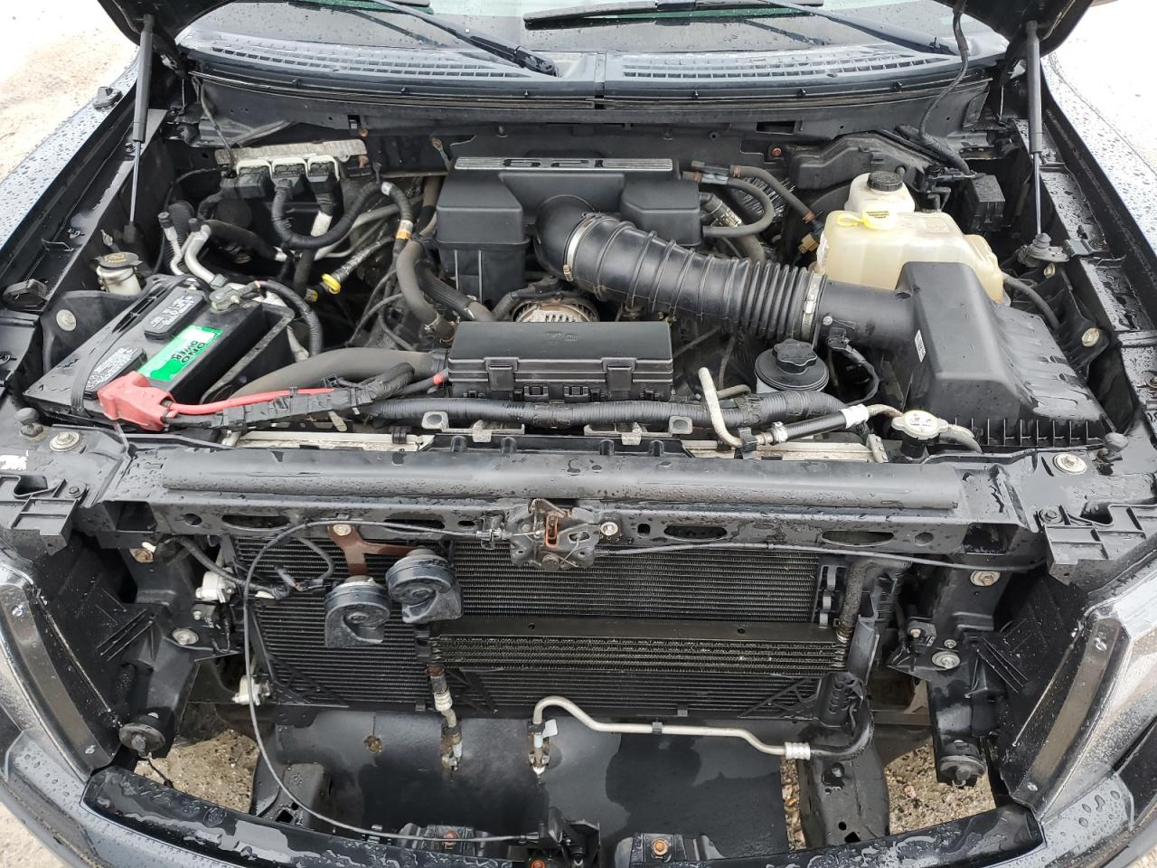 1FTFW1R63DFB56686 2013 Ford F150 Svt Raptor