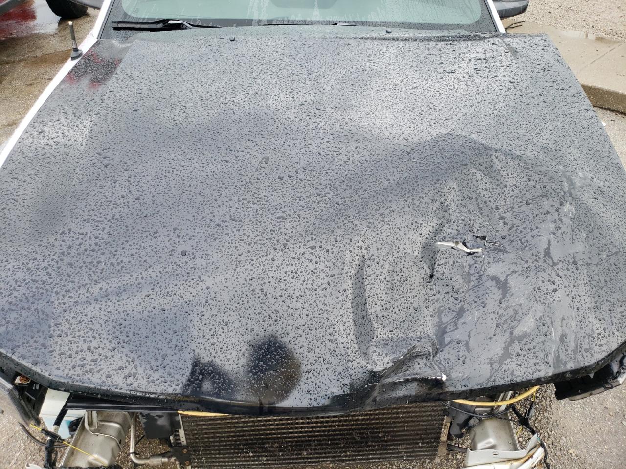 1ZVFT84N065230281 2006 Ford Mustang