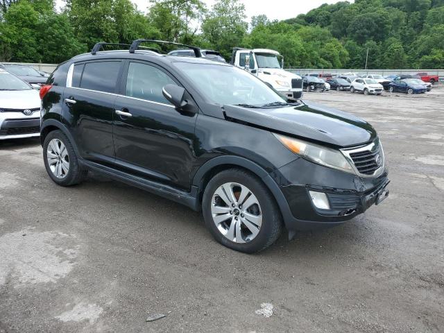 2012 Kia Sportage Ex VIN: KNDPC3A23C7347356 Lot: 57011054