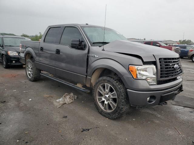 2014 Ford F150 Supercrew VIN: 1FTFW1EF4EKF38496 Lot: 53538294