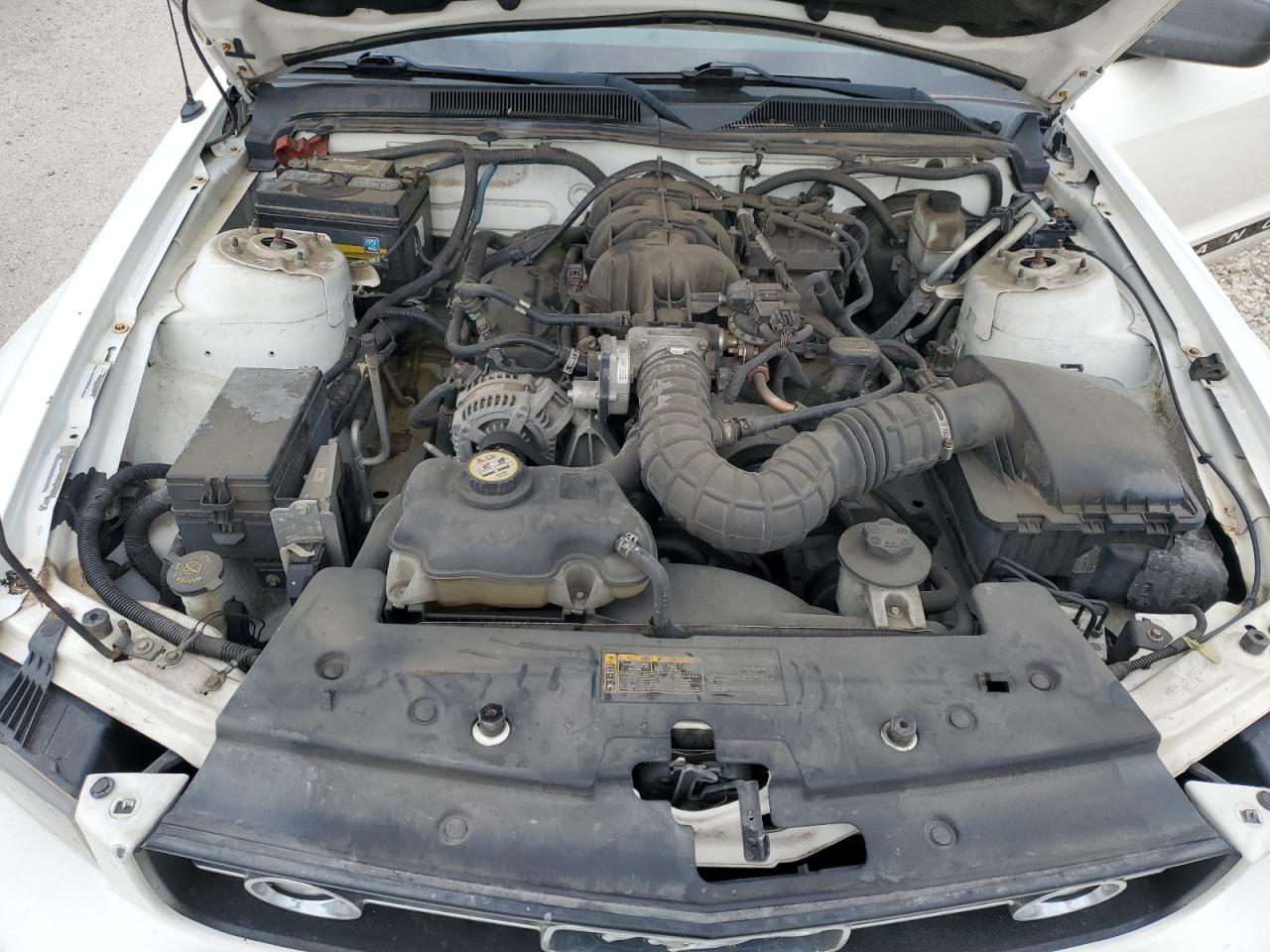 1ZVHT80N895114992 2009 Ford Mustang