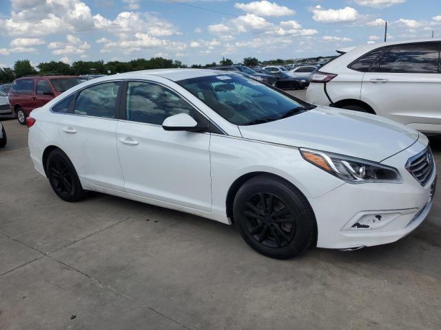 2017 Hyundai Sonata Se VIN: 5NPE24AF4HH575954 Lot: 55576104